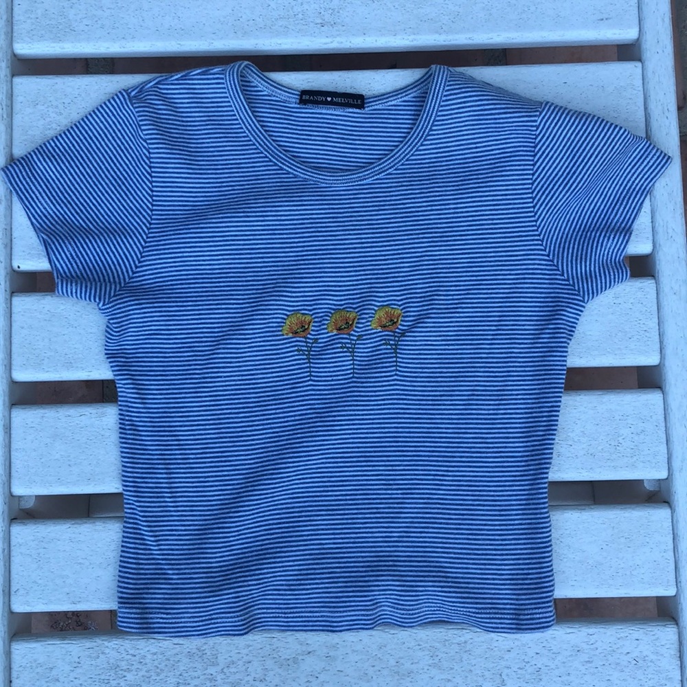 Brandy Melville crop tee shirt